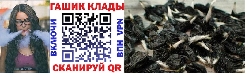 Купить где  Ленинградская  Гашиш гарик 