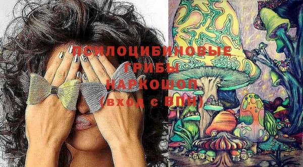 экстази Заводоуковск